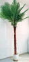 Палма изкуствена 240 см, снимка 4