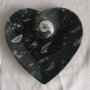 сърце черни амонити  на 50 милиона години, снимка 1 - Други - 43375346