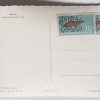 Черно-бяла картичка Берлин, снимка 2 - Филателия - 44011405