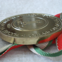 Стар медал 2005 г. Футбол I място, снимка 3 - Колекции - 44910079