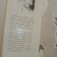 С пушка и въдица - Петко Тихолов - 1967г., снимка 2 - Художествена литература - 36753527