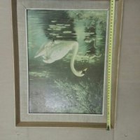 Продавам картина Лебед, снимка 2 - Картини - 27781679