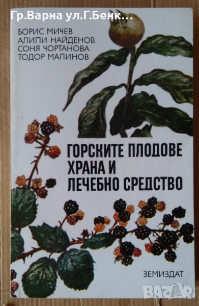 Горските плодове храна и лечебно средство  Борис Мичев, снимка 1