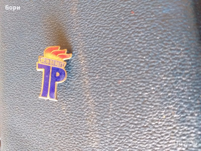 Пионерска значка ГДР, снимка 1