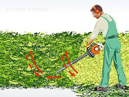 подрязване на високи храсти оформяне на жив плет, снимка 3 - Други услуги - 24578789