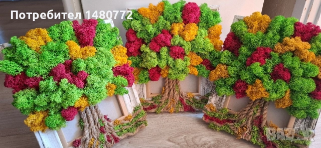 Дървото на живота със скандинавски мъх в рамка, снимка 9 - Пана - 48288866