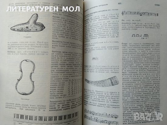 Музикален терминологичен речник 1979 г., снимка 3 - Чуждоезиково обучение, речници - 37169638