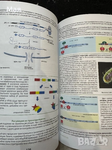 Всичко за кандидат-студентите по биология и по химия, снимка 8 - Ученически и кандидатстудентски - 53446823