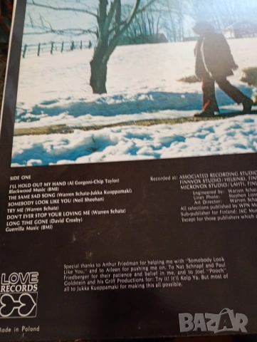 Грамофонни плочи, хитове със забавна музика, световно известни изпълнители , снимка 5 - Грамофонни плочи - 53150774