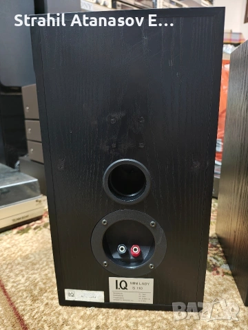 I.Q Mini-LADY S 110 Двулентови Тонколони , снимка 12 - Тонколони - 53472969