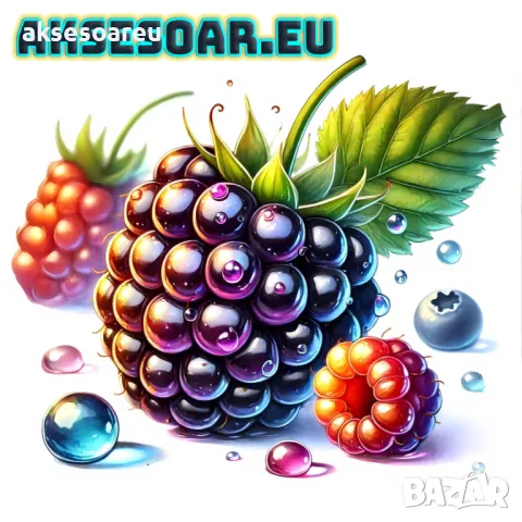 Висококачествени нови семена от хранителна Къпина без бодли антиоксидант Rubus rusticanus 50+ семена, снимка 5 - Сортови семена и луковици - 50333229