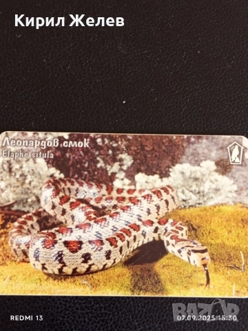 Три фонокарти МОБИКА тема ЗАСТРАШЕНИ ВИДОВЕ,ЧЕРЕН ЛЕШОЯД,ЛЕОПАРДОВ СМОК 12262, снимка 4 - Колекции - 51633304