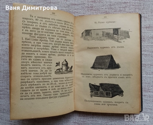 Птицевъденъ календаръ за 1908 год., снимка 4 - Други - 53473079