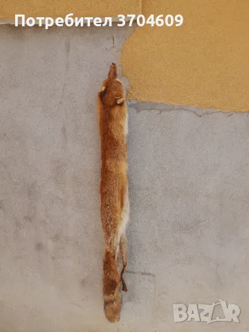 Кожа от лисица, снимка 11 - Шапки - 47438294