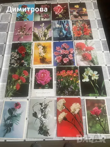 Картички с цветя - двойни и единични