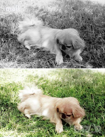 Дигитализирайте и оцветете вашите спомени!, снимка 13 - Други ценни предмети - 28448726