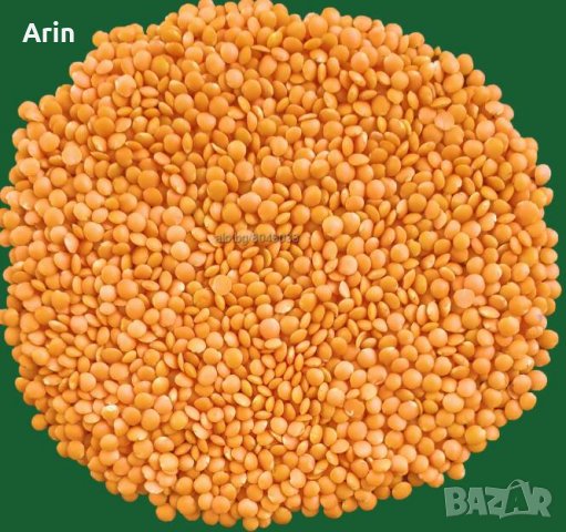 Червена леща, снимка 2 - Други - 37174518