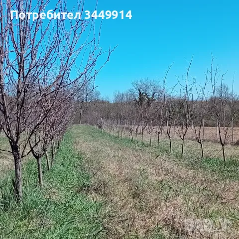 Овощни градини био- сливи до Правец, снимка 9 - Земеделска земя - 50220274