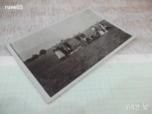 Снимка стара на излет на полето, снимка 3 - Колекции - 48002049