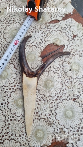 нож от рог, снимка 6 - Антикварни и старинни предмети - 53537082