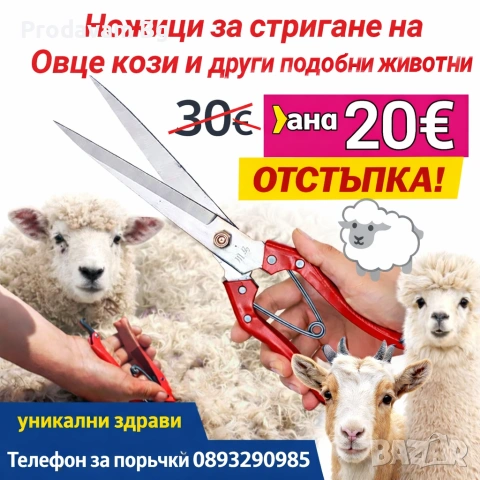 ножица за подстригване на овце 