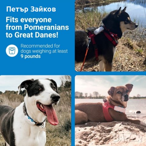 Водоустойчив GPS тракер за кучета, снимка 4 - За кучета - 40393859