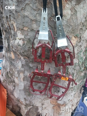 Алпийски австрийски котки 