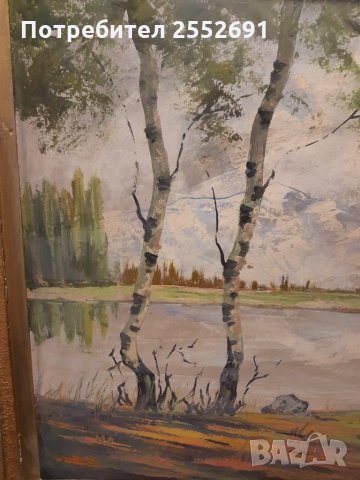 Картина , снимка 5 - Колекции - 27869153