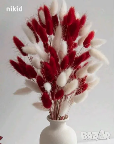 Сноп 10 бр натурален Овален лагурус Заешка опашка пухчета декорация аранжиране ваза букет цветя сухи, снимка 17 - Изкуствени цветя - 29744349