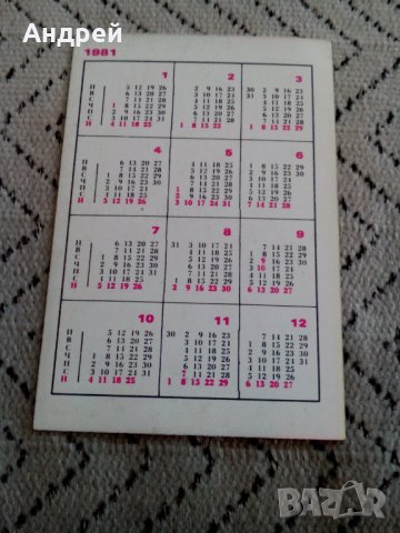 Календарче Левски Спартак 1981, снимка 2 - Други ценни предмети - 28231620