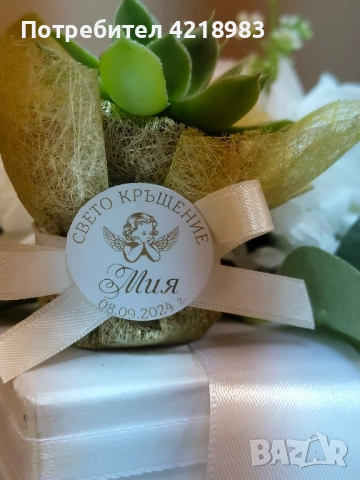 Сукуленти за подаръчета 