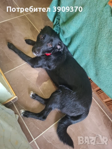 Подарява се