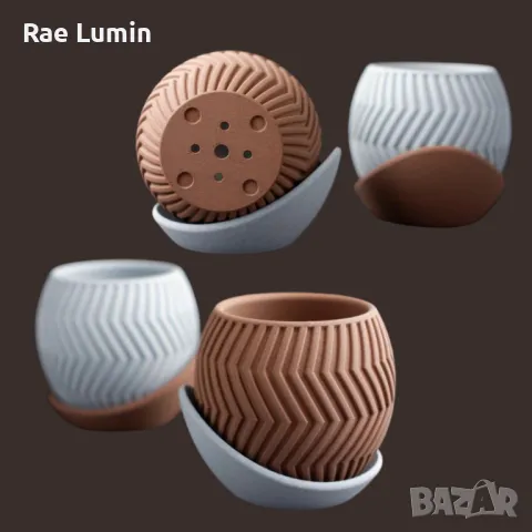 Саксия зиг-заг, снимка 1