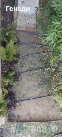 Изграждане на капково напояване - поливни системи в парници градини и дворове за Шумен Търговище , снимка 11 - Напояване - 49839055