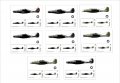 Чисти блокове Самолети от Втората световна война 2020 от Тонго, снимка 1 - Филателия - 37680304