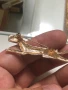 Красива брошка, снимка 3