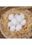Изкуствени яйца за гълъби, снимка 1