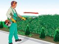 подрязване на високи храсти оформяне на жив плет, снимка 2
