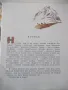 Книга "В горах - Н. Сладков" - 24 стр., снимка 2