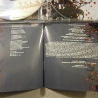 D'ERCOLE / перфектен хард рок / 2 CD, снимка 10 - CD дискове - 35140877