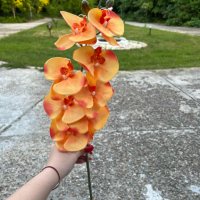 Изкуствени орхидеи – стрък с 8 цвята  , снимка 3 - Изкуствени цветя - 38638420
