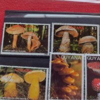 Пощенски марки чиста комплектна серия Гъби стари редки за колекция декорация - 22047, снимка 5 - Филателия - 36642280