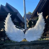 Ангелски крила за декорация и фотосесия , снимка 10 - Други - 39862661