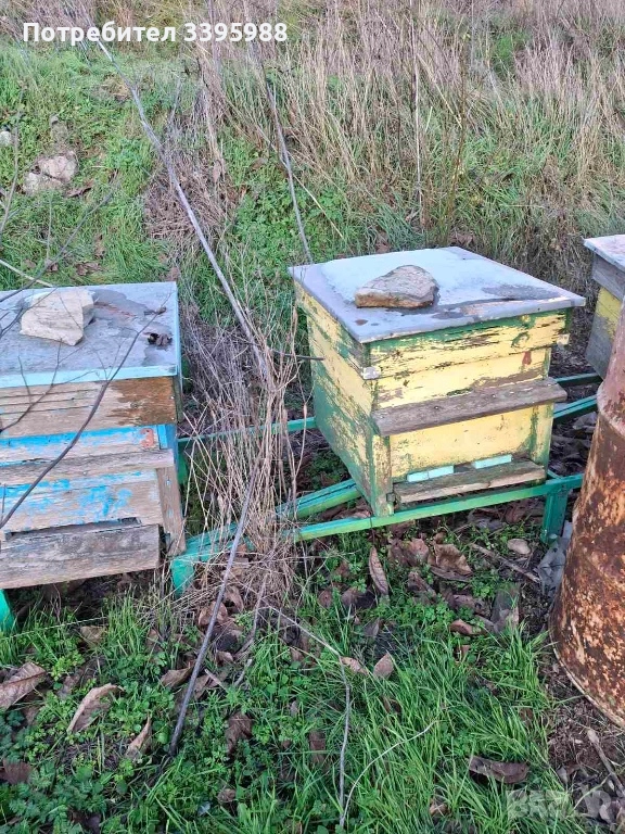 Кошери за пчели, снимка 1