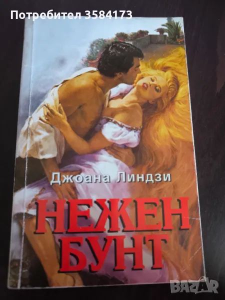Нежен бунт - Джоана Линдзи, снимка 1