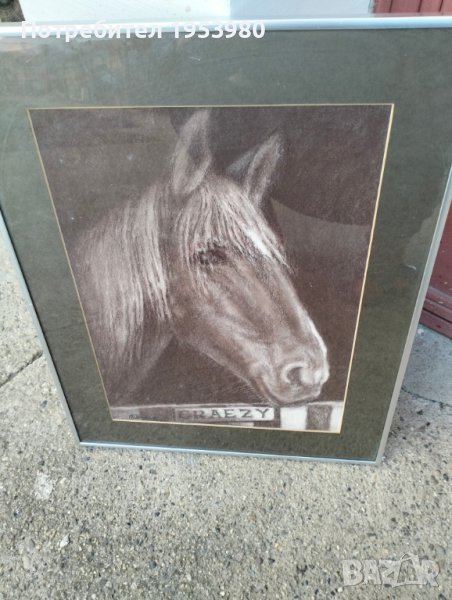 Графика на конска глава, снимка 1