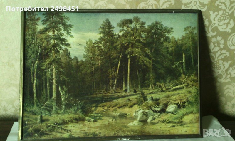 Картина Сосно́вый лес от Иван Шишкин. Москва., снимка 1