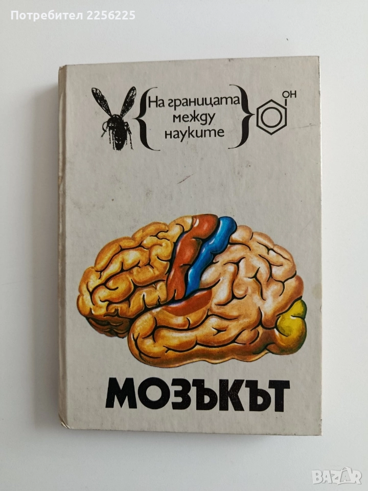 Мозъкът, снимка 1