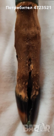 Уникален ловджийски нож с дръжка от елен, снимка 4 - Ножове - 53292971