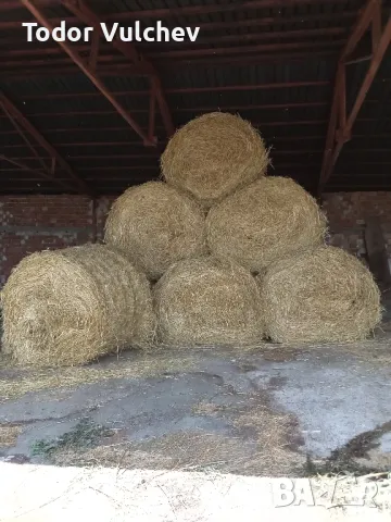 сено, снимка 4 - За селскостопански - 48049374